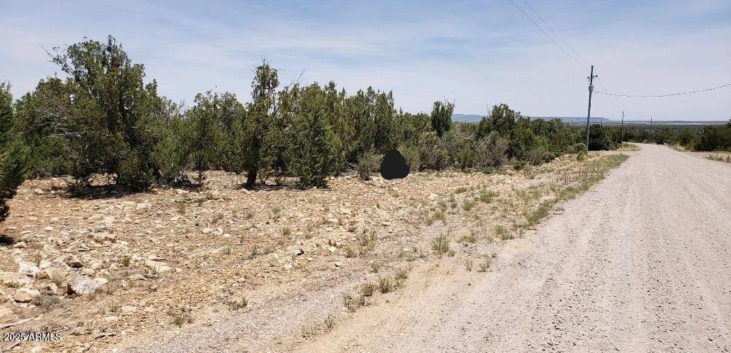 5113 SUNSET RIDGE Loop 187, Happy Jack, AZ 86024 — Photo 1 of 13