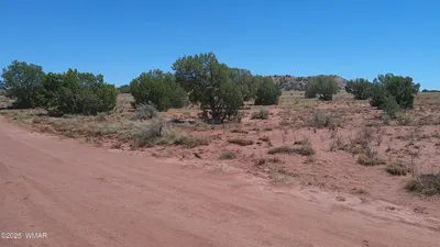 TBD Ranch of the White Mountains10, Concho, AZ 85924