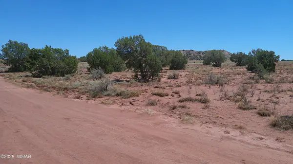 TBD Ranch of the White Mountains10, Concho, AZ 85924