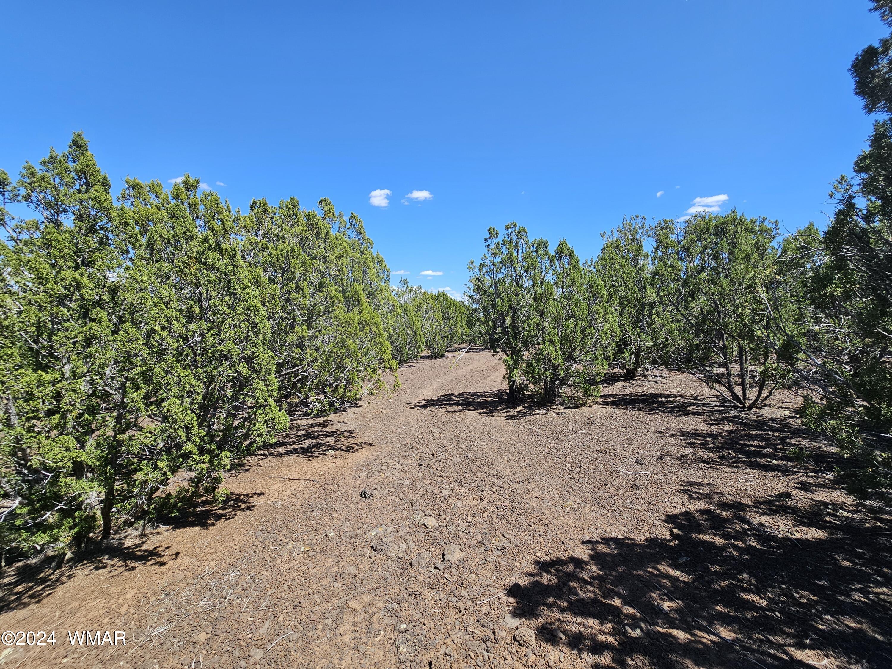 1259 Kb Ranch Road, Show Low, AZ 85901 — Photo 1 of 13