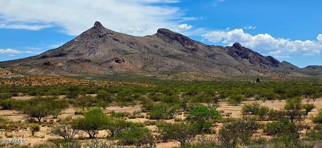 38.76 Acre N Bruno Road -, Douglas, AZ 85607 — Photo 1 of 9