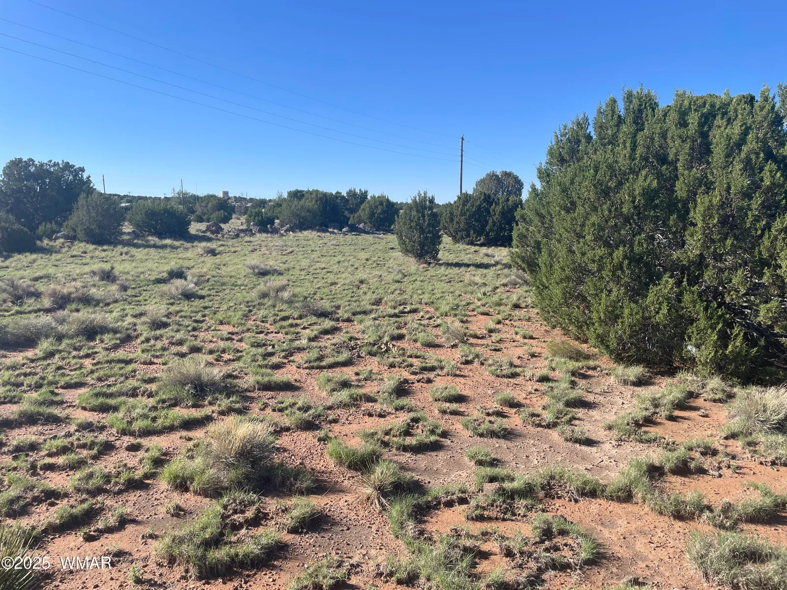 37 Frontage Road, Concho, AZ 85924 — Photo 1 of 13
