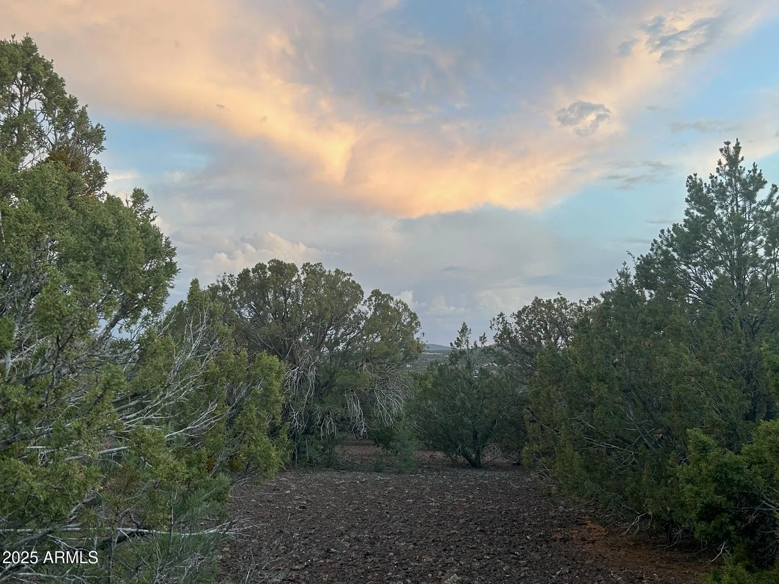 lot 11 Uphill Trail 11, Vernon, AZ 85940 — Photo 1 of 17