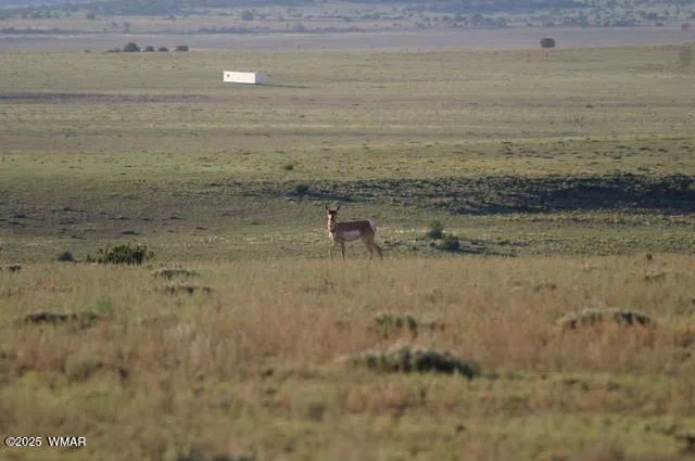 TBD 107-28-055A 55, Concho, AZ 85924 — Photo 1 of 16