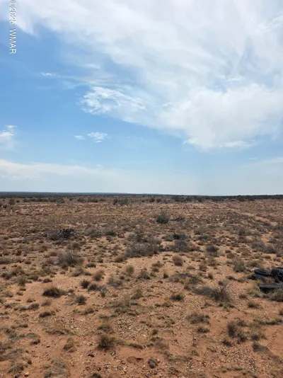 8317 Buckskin Trail, Snowflake, AZ 85937