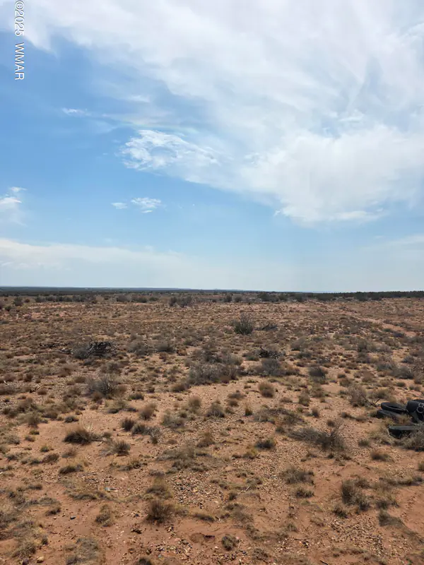 8317 Buckskin Trail, Snowflake, AZ 85937