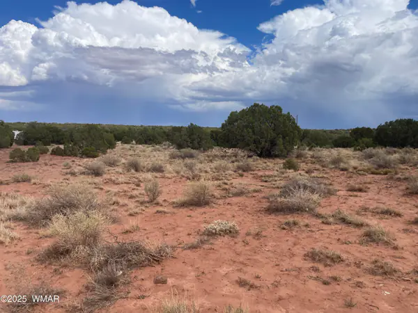 4317 Indian Bend Road, Snowflake, AZ 85937