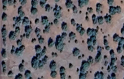 16 County Road 8136, Concho, AZ 85924