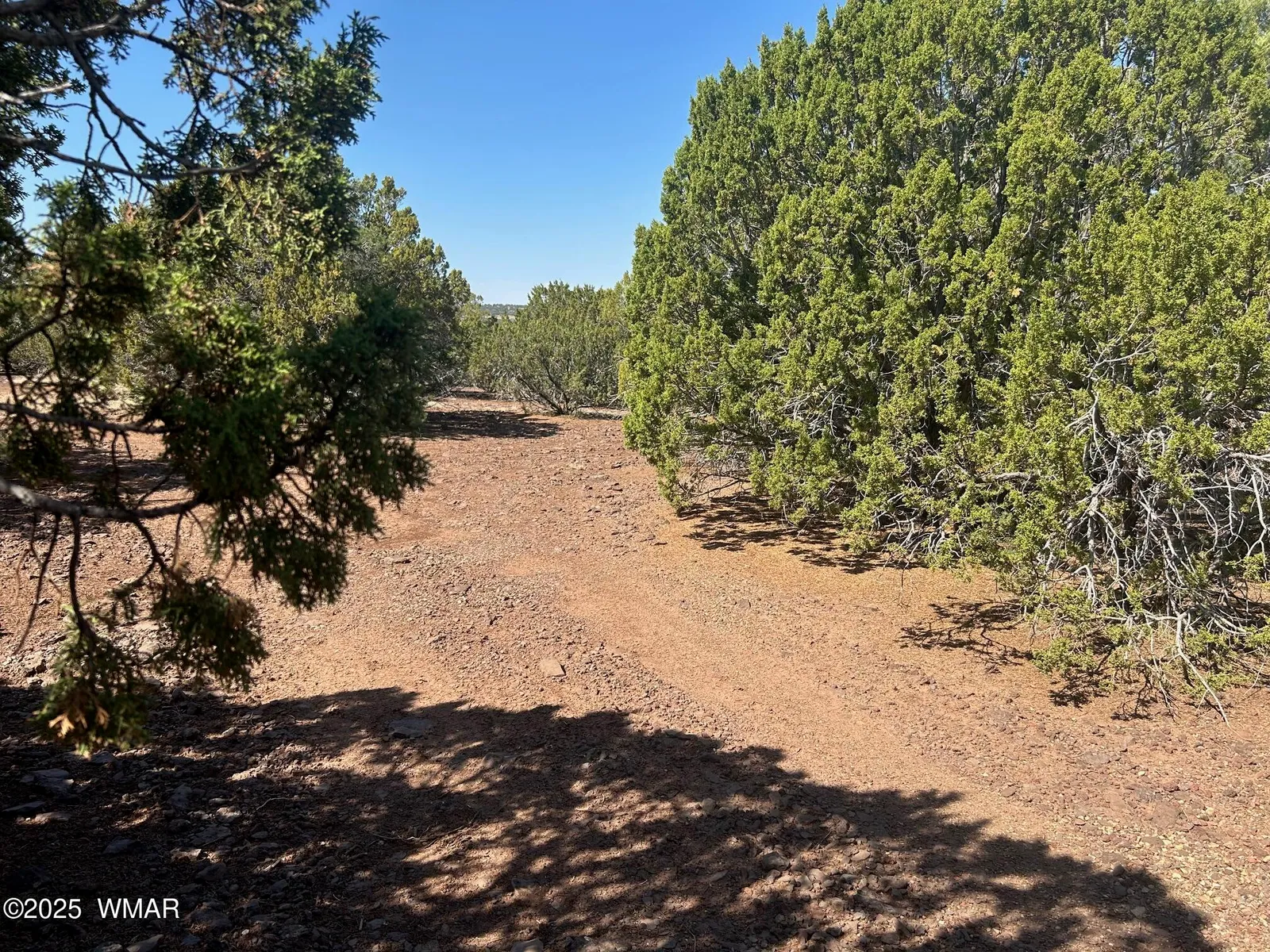 Lot 2 Stanford Drive, Vernon, AZ 85940 — Photo 1 of 11