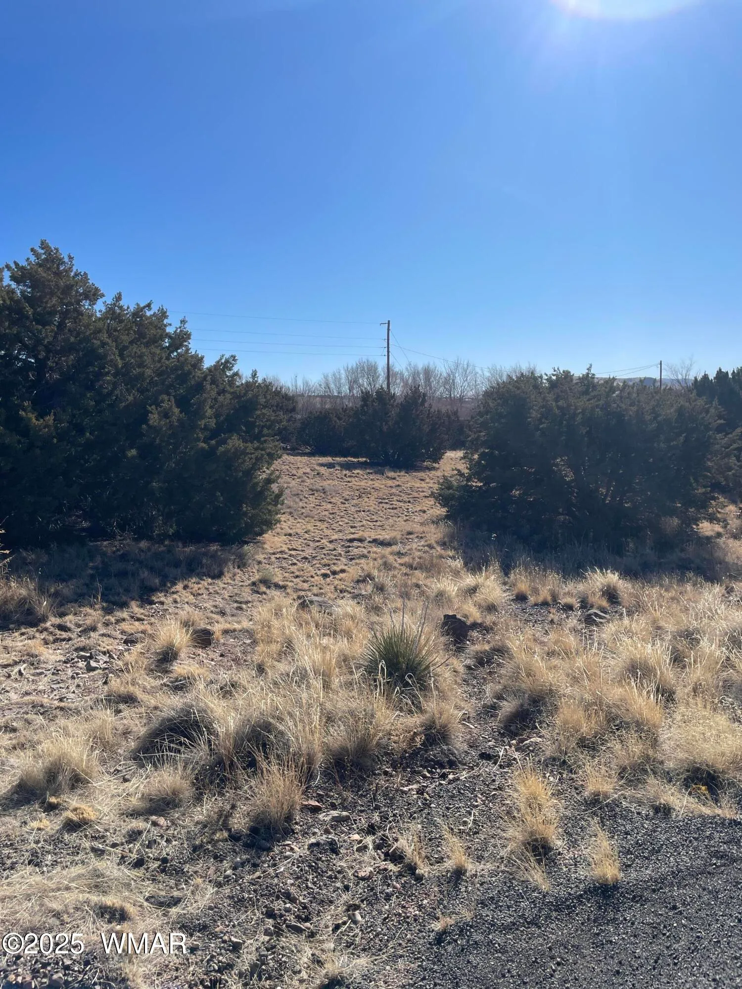 74 Dawn Lane, Concho, AZ 85924 — Photo 1 of 9