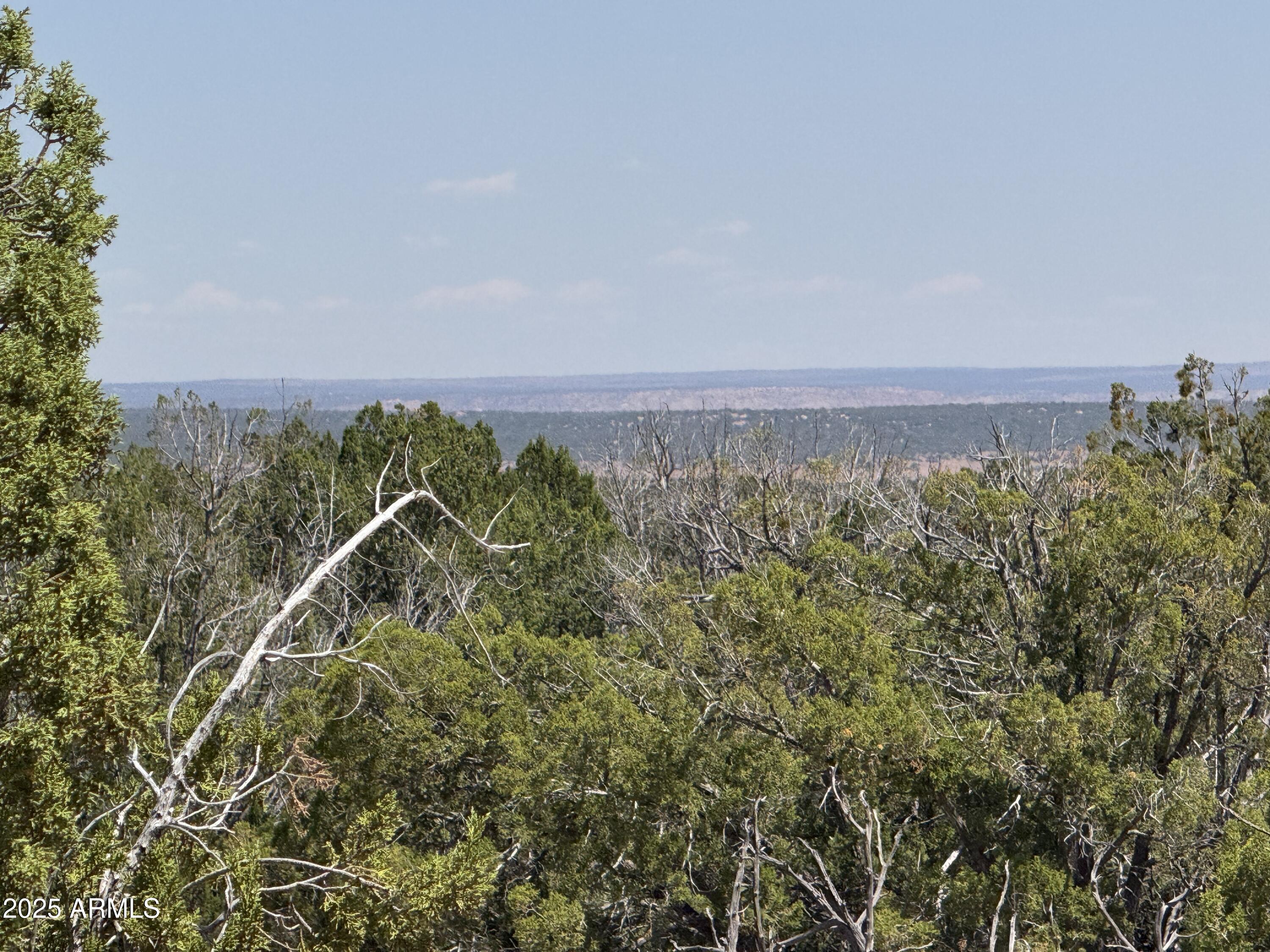Lot 178 Red Sky Ranch 178, St Johns, AZ 85936 — Photo 1 of 17