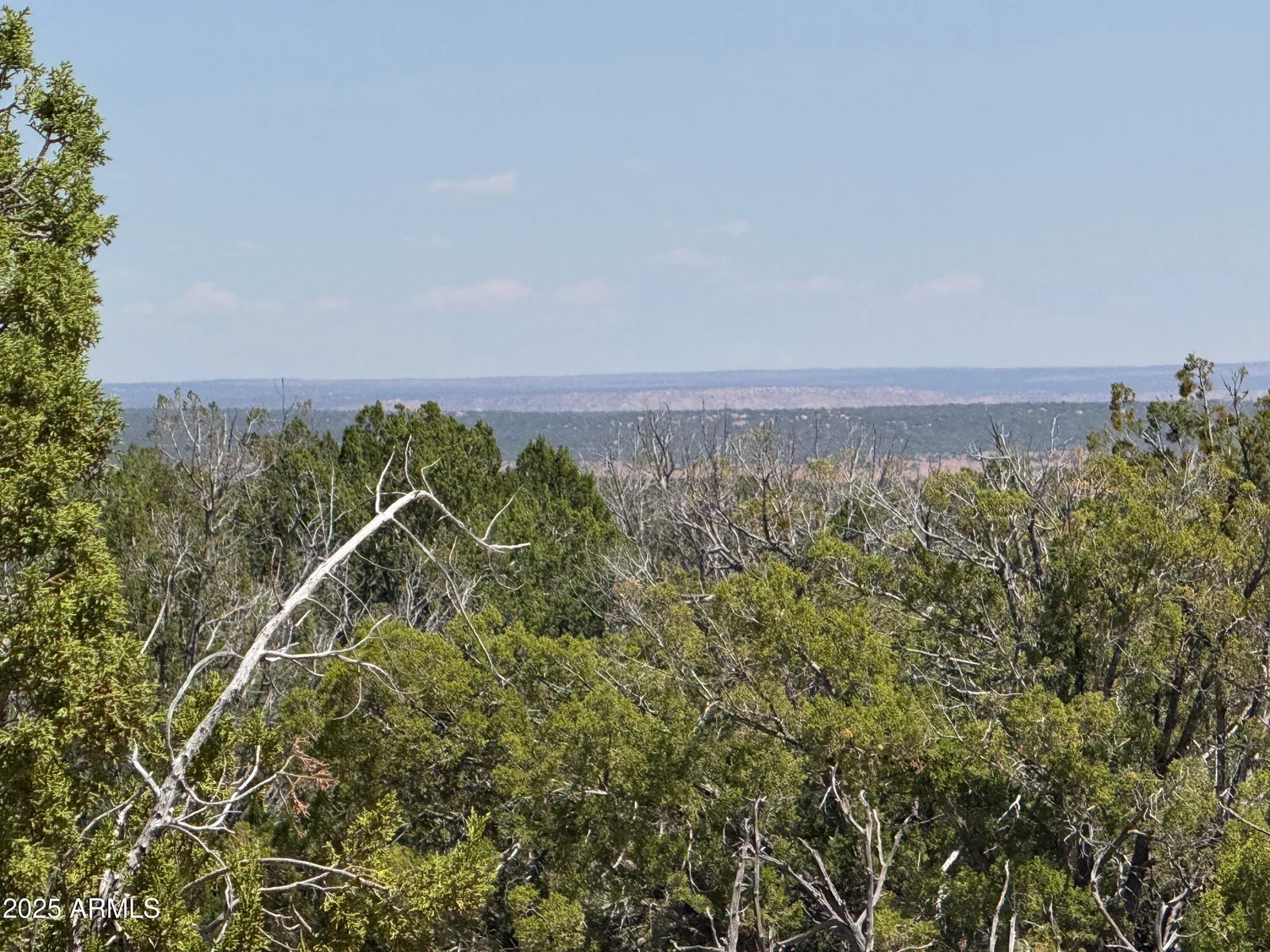 Lot 178 Red Sky Ranch 178, St Johns, AZ 85936 — Photo 1 of 17