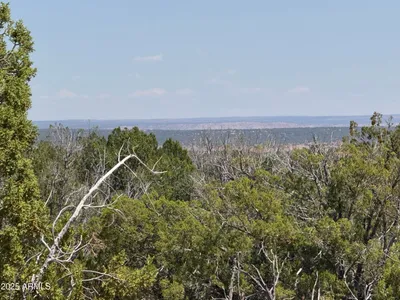Lot 178 Red Sky Ranch 178, St Johns, AZ 85936