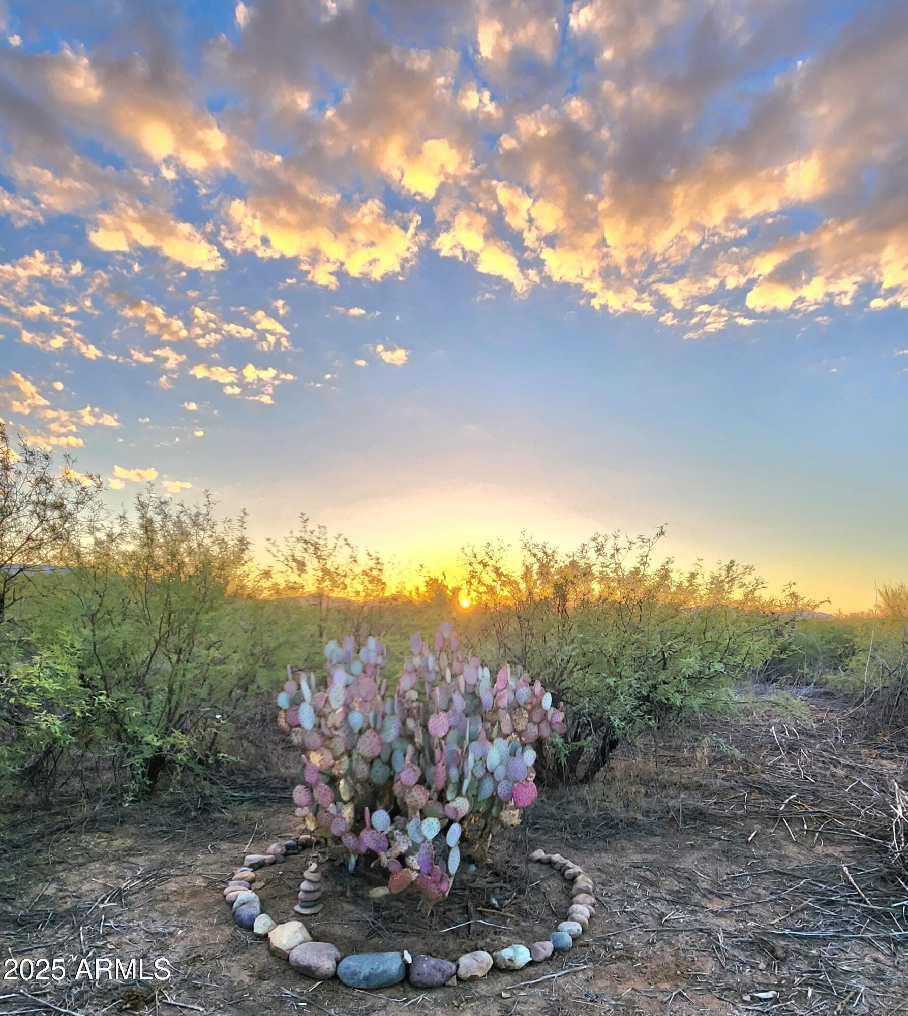 13122 W DUSTY FLAT Place -, Tucson, AZ 85735 — Photo 1 of 20
