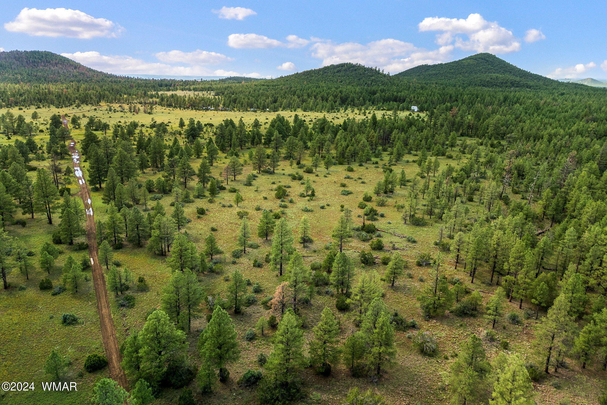 000 Dipping Vat Spring Fire Road, Vernon, AZ 85940 — Photo 1 of 17