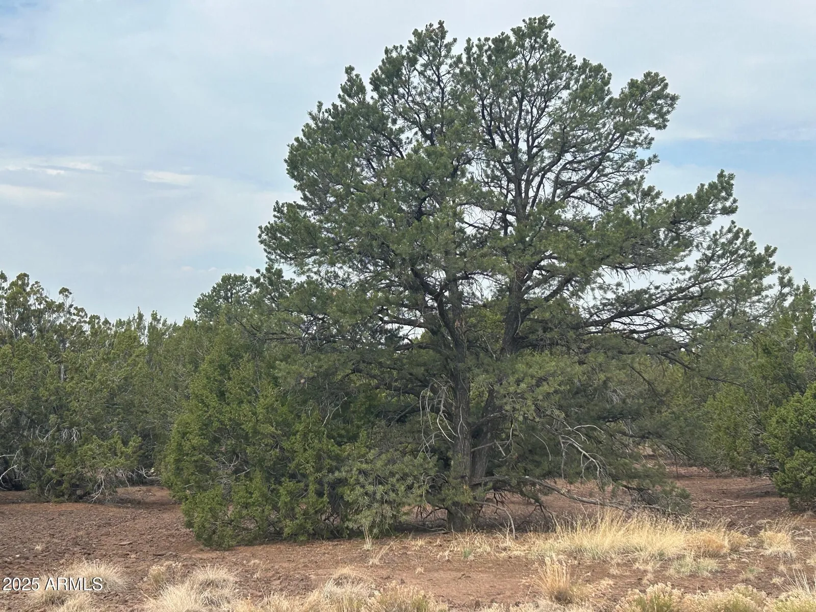 lot 2 Stanford Drive 2, Vernon, AZ 85940 — Photo 1 of 10