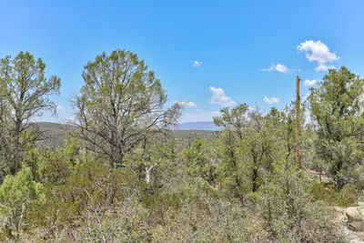 1106 S Gold Nugget Lane, Payson, AZ 85541