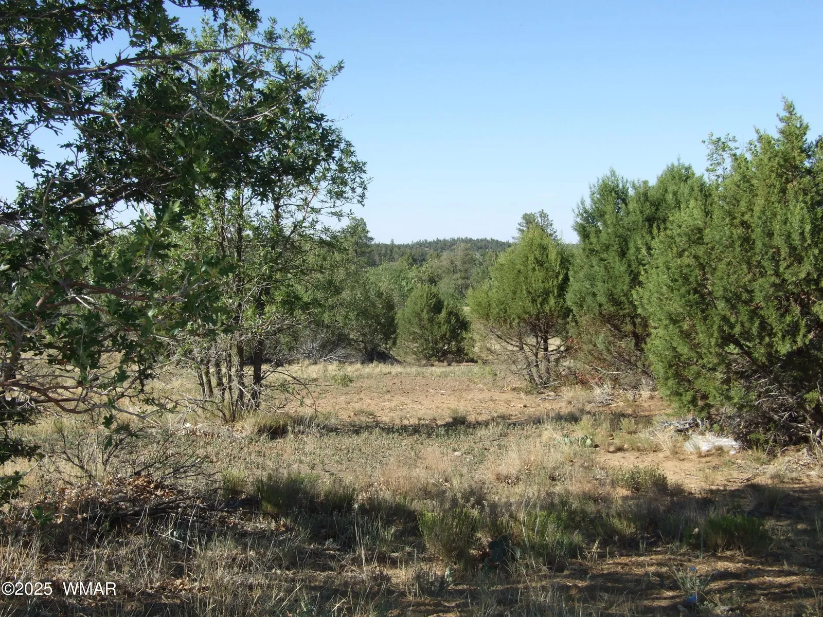 Parcel B Lamb Dr, Pinedale, AZ 85934 — Photo 1 of 6