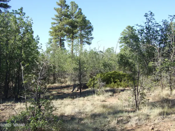 Parcel D Lamb Dr, Pinedale, AZ 85934