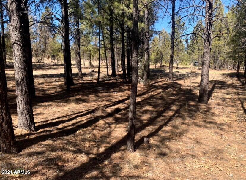 5236 TAOS Circle 152, Happy Jack, AZ 86024 — Photo 1 of 4