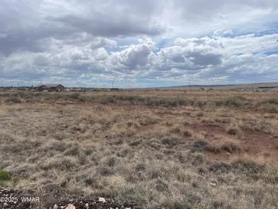 29 County Road 6010, St. Johns, AZ 85936