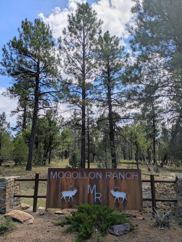 3719 Meadow Wood Drive, Happy Jack, AZ 86024