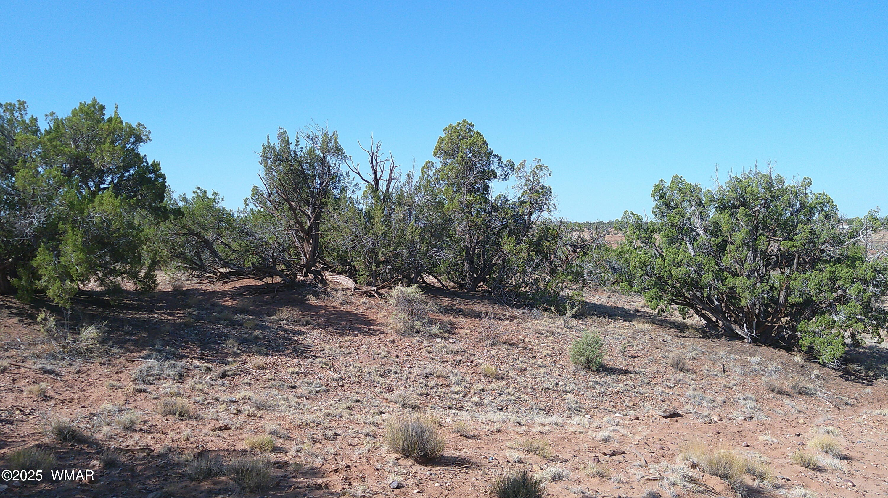 TBD Wicked Sisters Way 38ac, Concho, AZ 85924