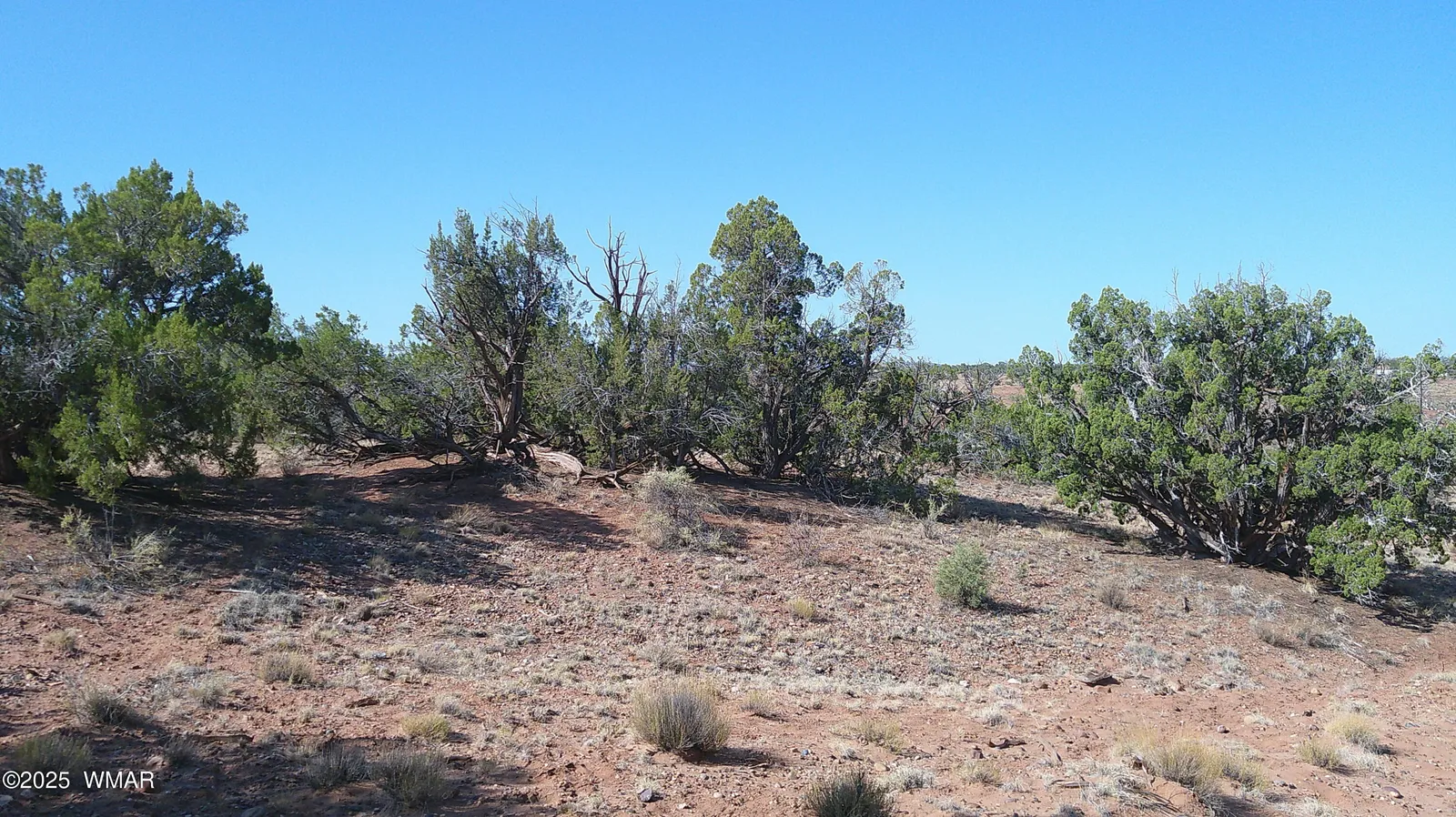 TBD Wicked Sisters Way 38ac, Concho, AZ 85924 — Photo 1 of 35