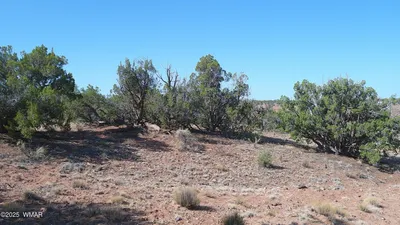 TBD Wicked Sisters Way 38ac, Concho, AZ 85924