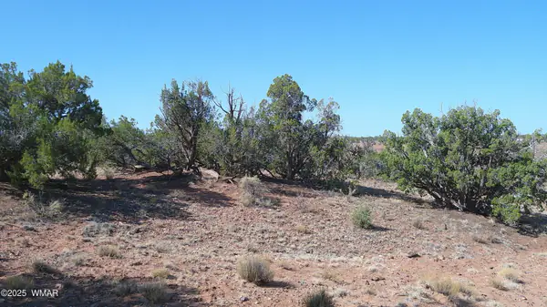 TBD Wicked Sisters Way 38ac, Concho, AZ 85924