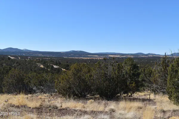 0 Stanford Road -, Concho, AZ 85924