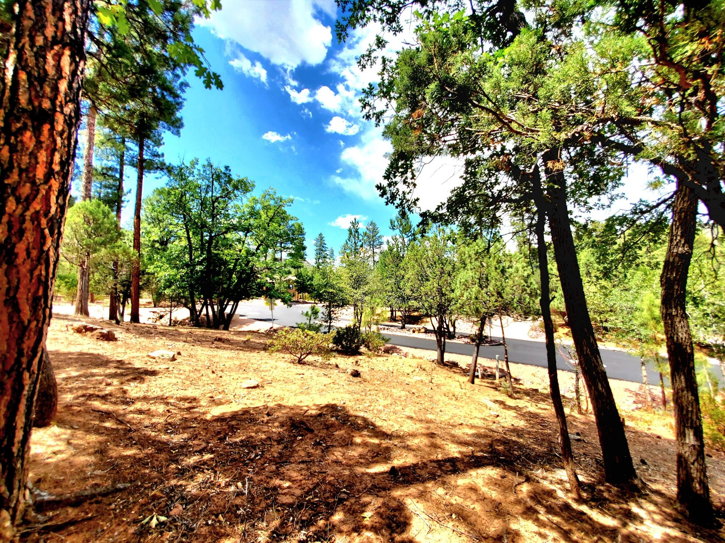 Lot 19 Strawberry Hollow, Pine, AZ 85544 — Photo 1 of 24