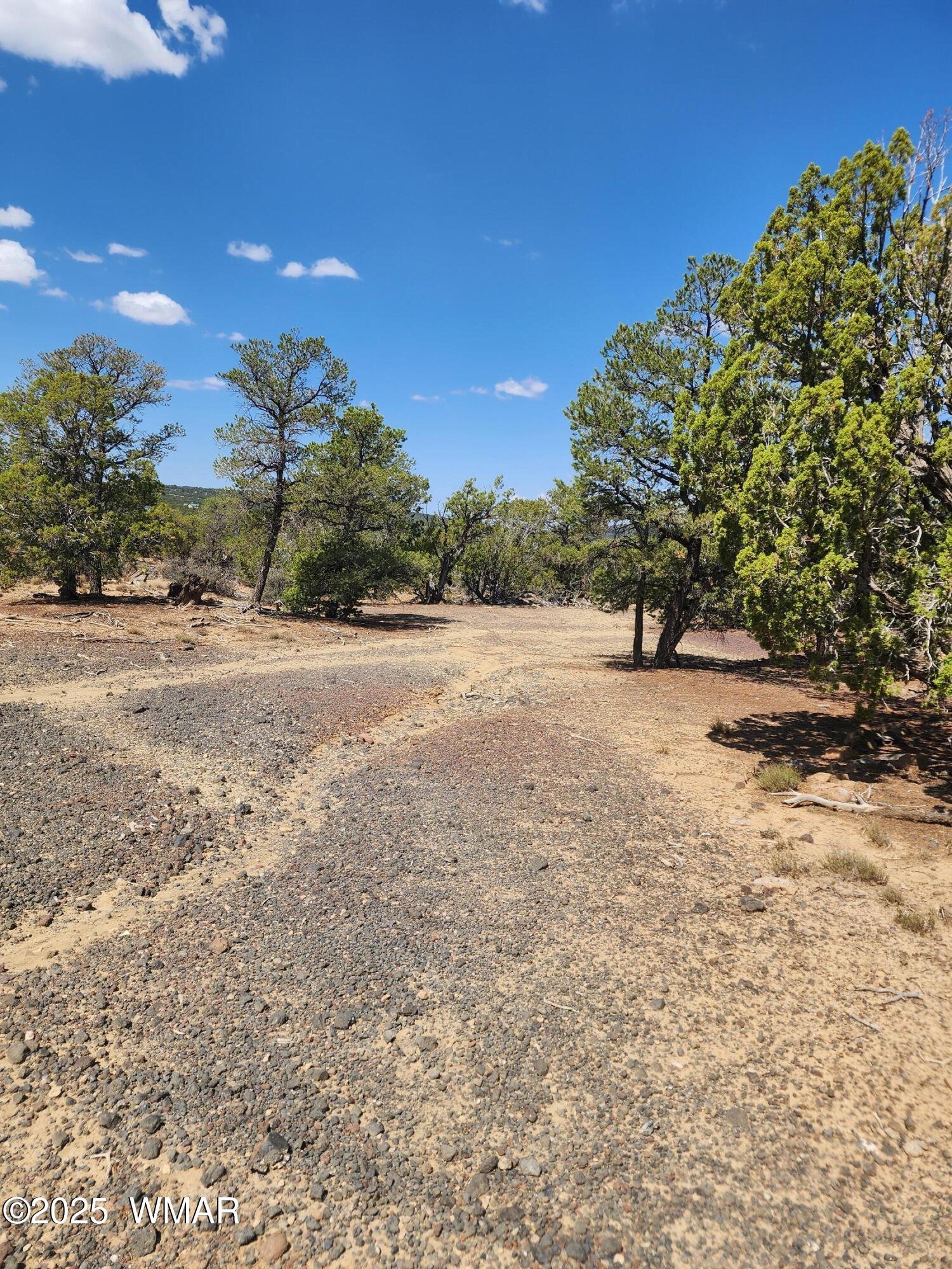 15 Co Rd 3041 2, Concho, AZ 85924 — Photo 1 of 7