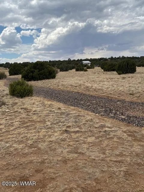 76 County Road 8010, Concho, AZ 85924 — Photo 1 of 14