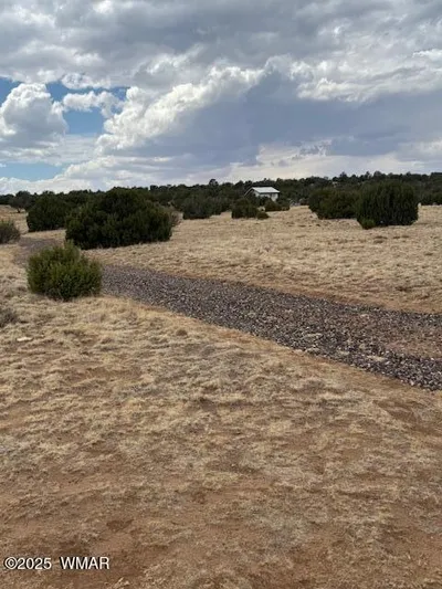 76 County Road 8010, Concho, AZ 85924