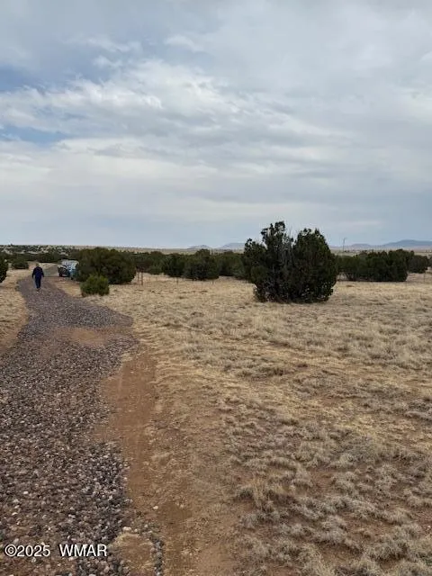 78 County Road 8010, Concho, AZ 85924 — Photo 1 of 13