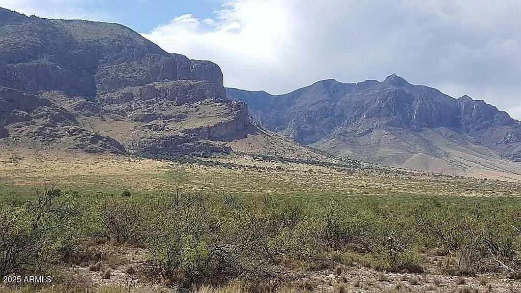 ---- 37 Acres Blacktail Road -, San Simon, AZ 85632 — Photo 1 of 9