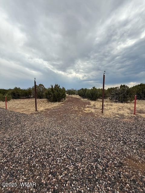 82 County Road 8010, Concho, AZ 85924 — Photo 1 of 14