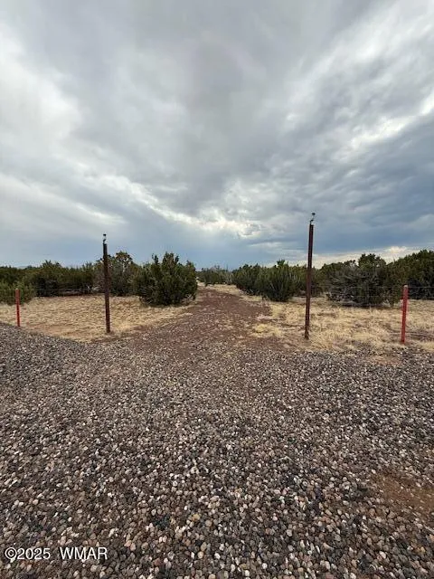 82 County Road 8010, Concho, AZ 85924 — Photo 1 of 14