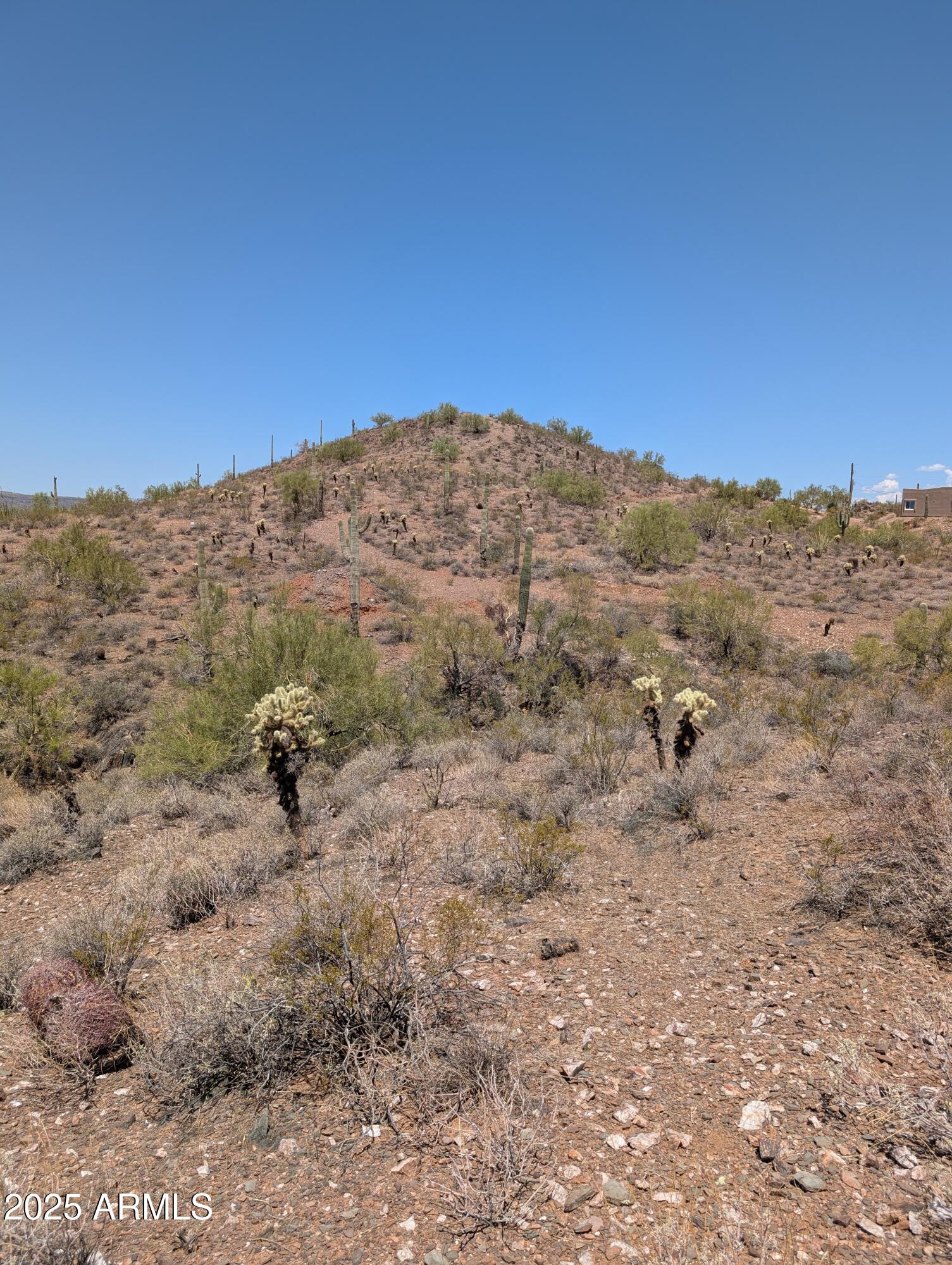463XX N 38th Avenue '-', New River, AZ 85087 — Photo 1 of 8