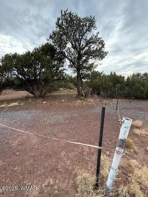 35 County Road 3044, Concho, AZ 85924 — Photo 1 of 14