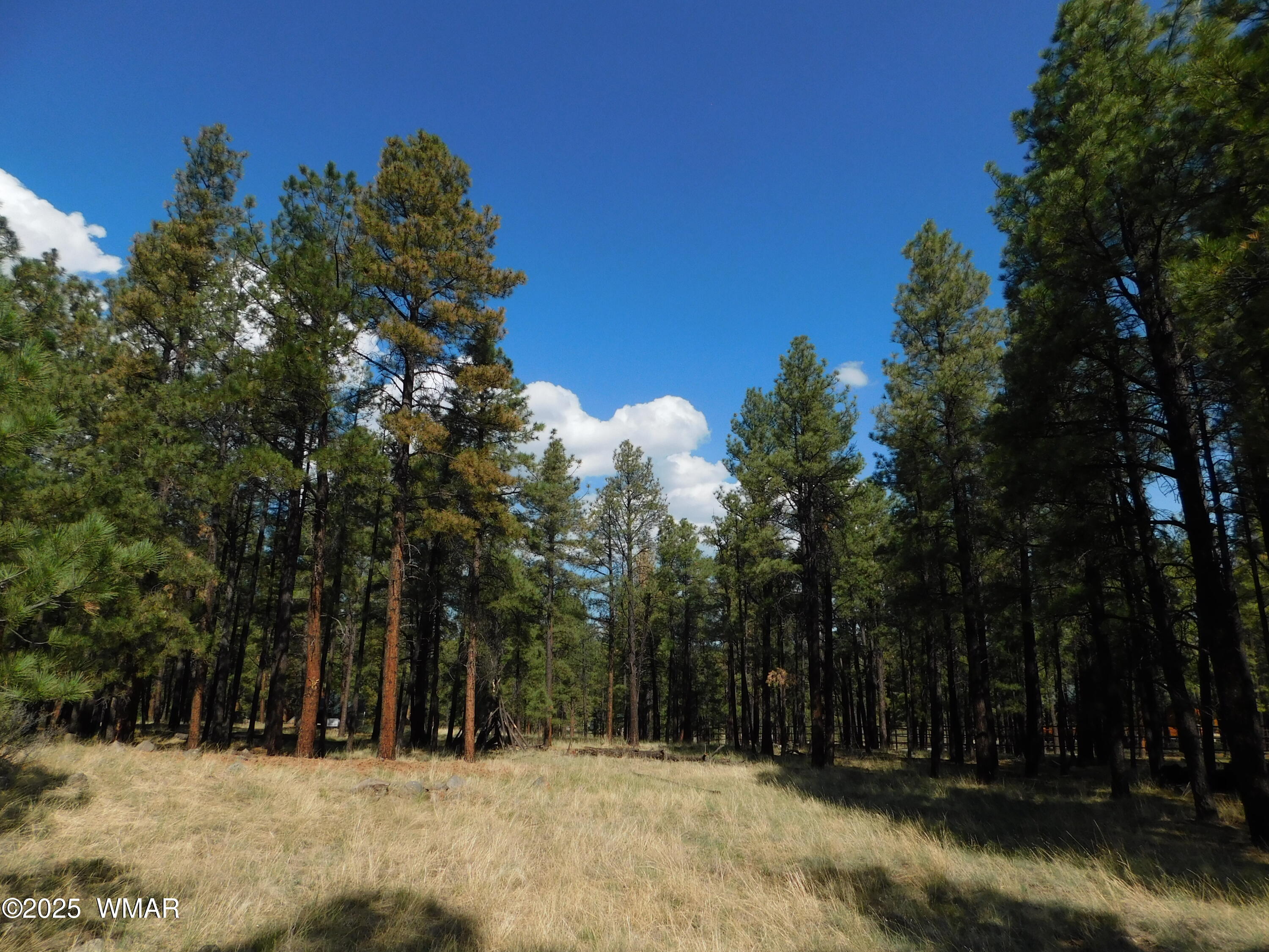 UNK 1.17 AC UNK, Greer, AZ 85927 — Photo 1 of 13