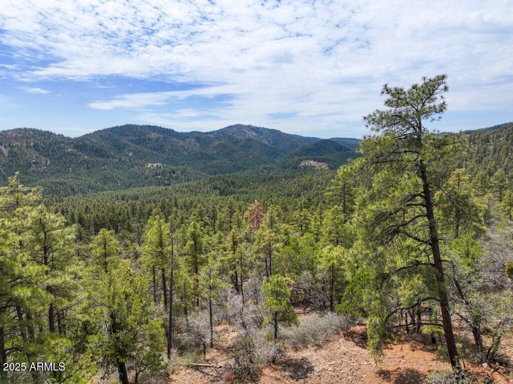 0 E Bald Mountain Road -, Prescott, AZ 86303 — Photo 1 of 18