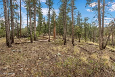 14 County Rd 2074, Alpine, AZ 85920