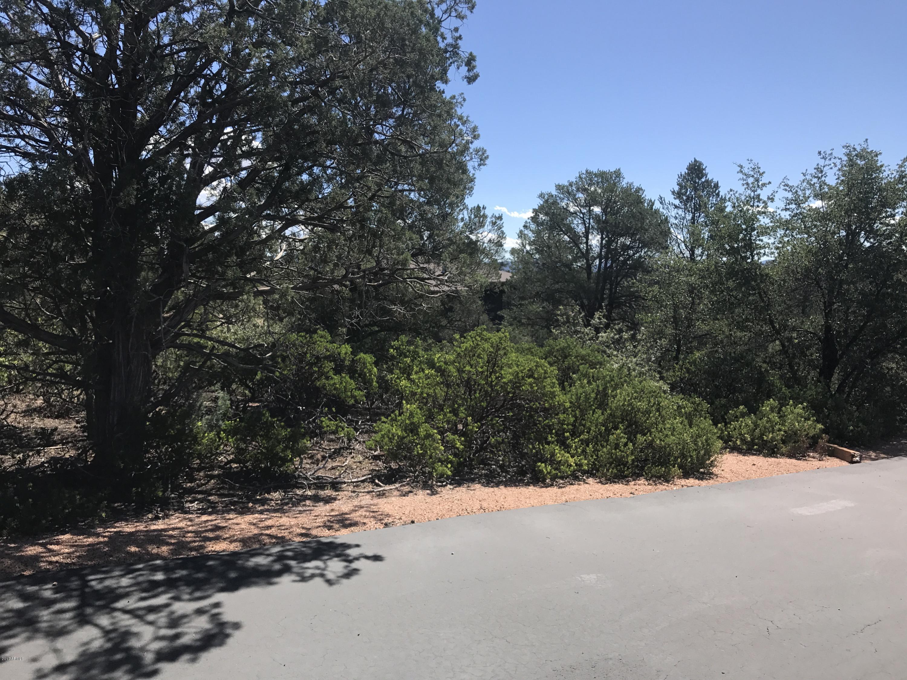 106 N FEATHER PLUME Circle 607, Payson, AZ 85541 — Photo 1 of 2