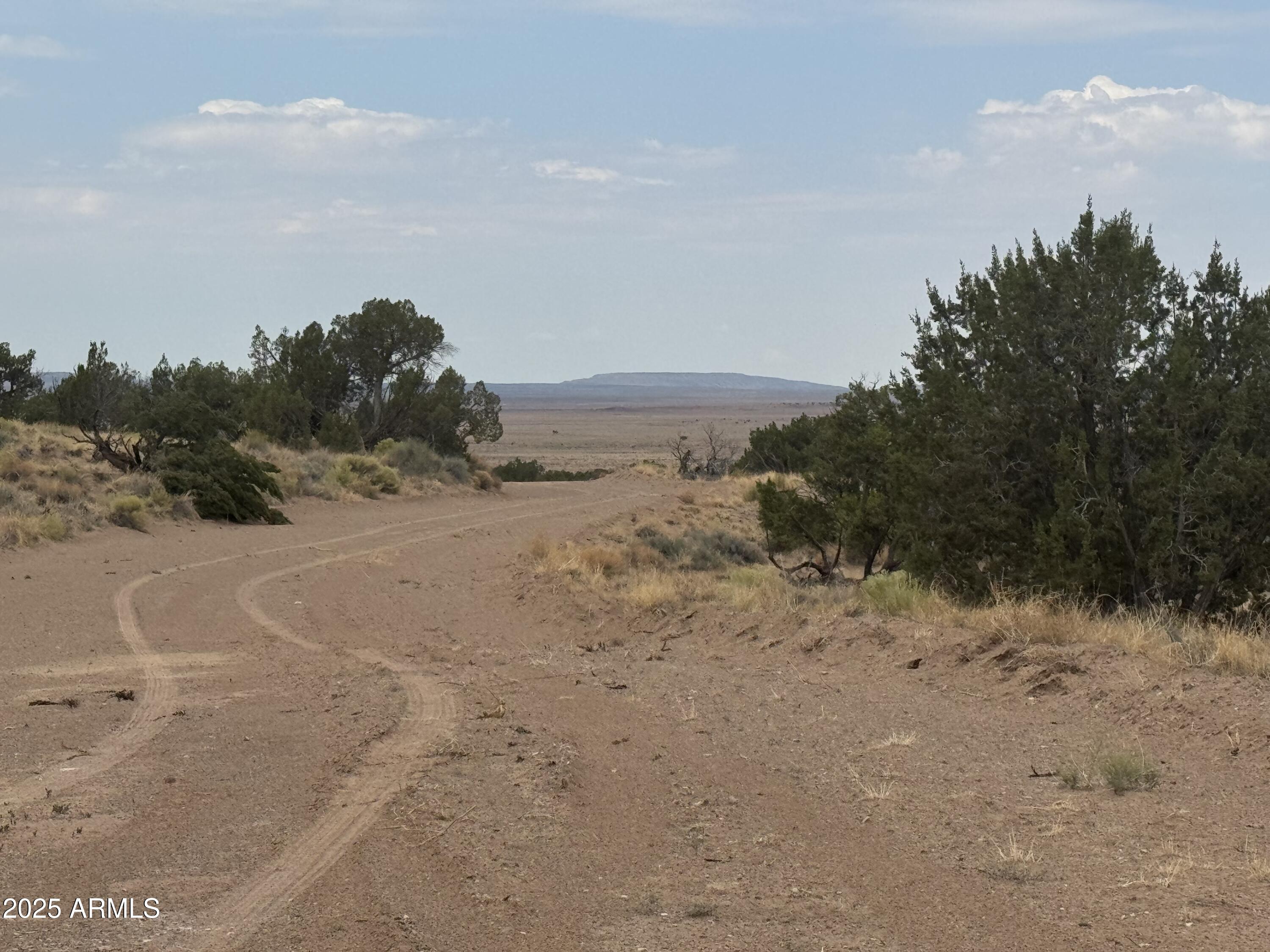 Lot 99 Carrizo Ranch 99, St Johns, AZ 85936 — Photo 1 of 18