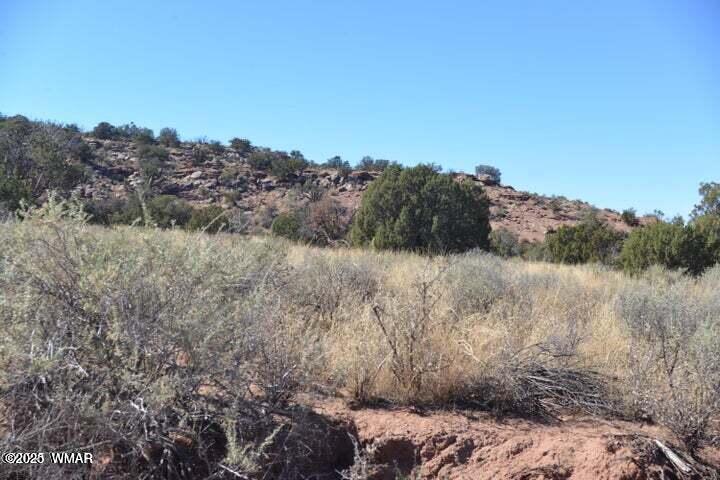 3871 Del Contento Road, Snowflake, AZ 85937