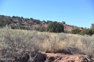 3871 Del Contento Road, Snowflake, AZ 85937