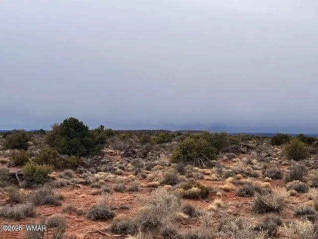 8698 Yaqui Lane, Snowflake, AZ 85937 — Photo 1 of 1