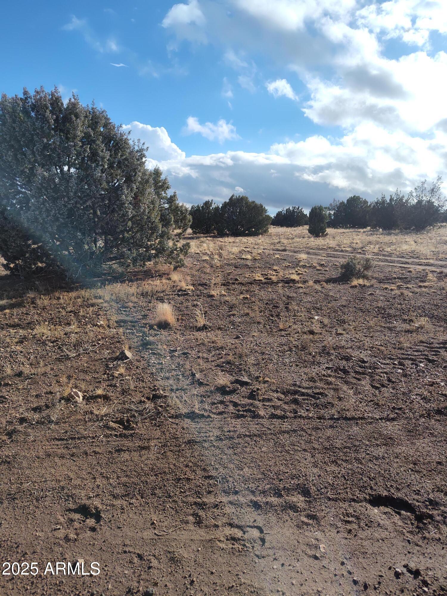 00000 N Deliverace 453, Seligman, AZ 86337 — Photo 1 of 3